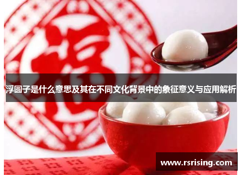 浮圆子是什么意思及其在不同文化背景中的象征意义与应用解析