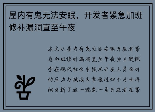 屋内有鬼无法安眠，开发者紧急加班修补漏洞直至午夜